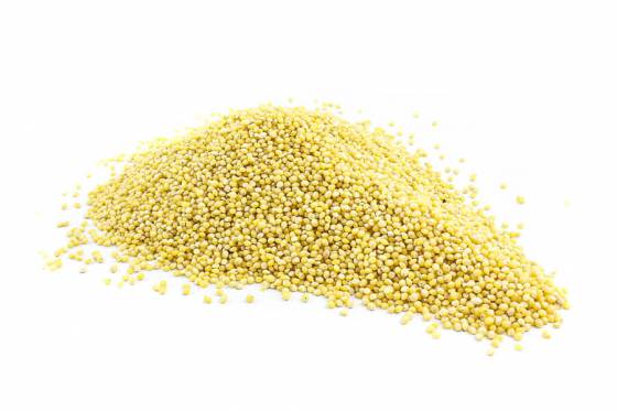 Millet Organic image