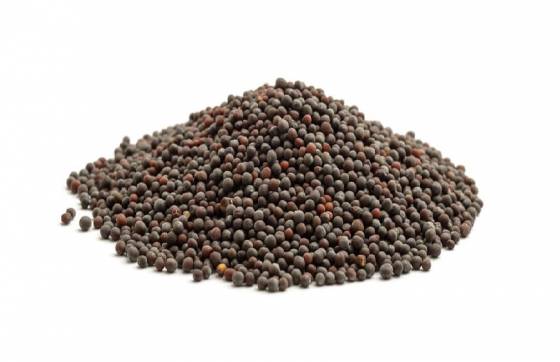 Brown Mustard Seeds image