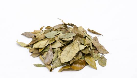 Curry Leaves Organic image